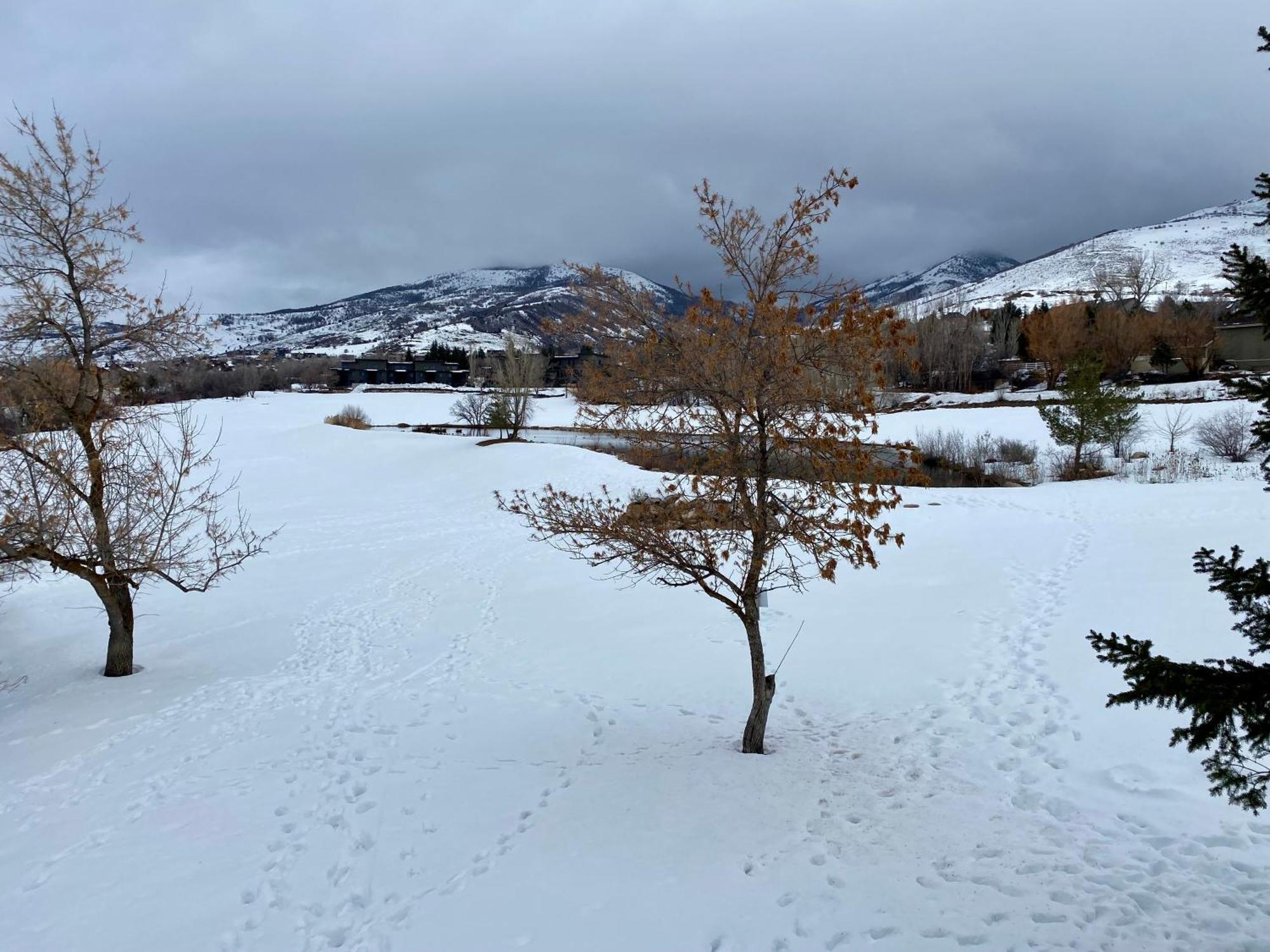 Wolf Creek Lodge Condo In Eden, Ut - Relaxing Mountain Retreat Екстериор снимка