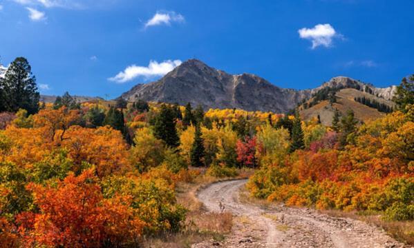Wolf Creek Lodge Condo In Eden, Ut - Relaxing Mountain Retreat Екстериор снимка