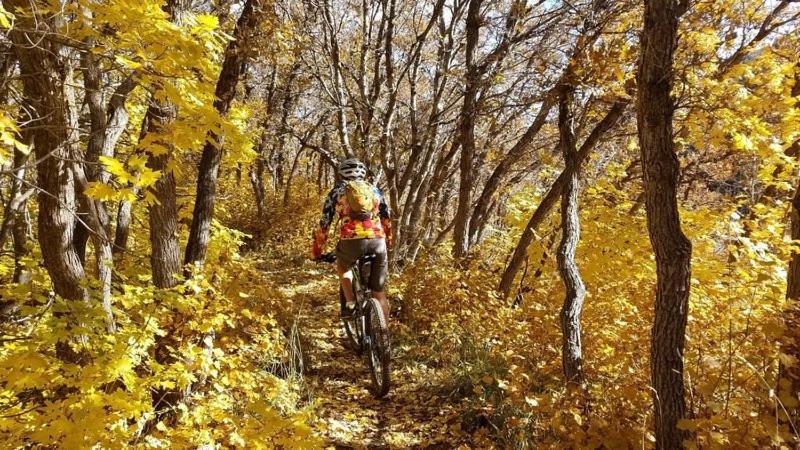 Wolf Creek Lodge Condo In Eden, Ut - Relaxing Mountain Retreat Екстериор снимка
